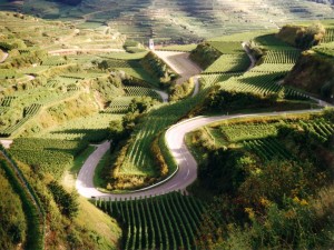 5 Tage Vogesen - Elsass SPECIAL 5 Tage Vogesen - Elsass SPECIAL