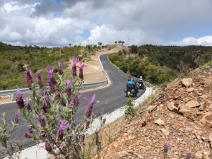 7 Tage Winterflucht Algarve/ mit Basishotel ab Faro 7 Tage Winterflucht Algarve/ mit Basishotel ab Faro